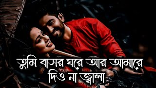 Tumi Basor Ghore Ar Amare Dio Na Jala  Slowed amp Reverb  বাসর ঘরের জ্বালা [upl. by Narhem]