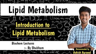 Introduction  Lipid Metabolism  Biochemistry Lectures [upl. by Eleon]