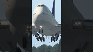 Pilot FORGETS Landing Gear 🤯 [upl. by Calder]