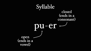 How Latin Does Syllables [upl. by Shue]