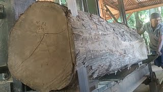 sawing large teak wood into plank blocks for furniture wardrobes [upl. by Einahets]