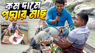 দৌলতদিয়া ফেরিঘাটে কমদামে ইলিশসহ বড় মাছ কেনার কৌশল। Daulatdia Ferry Ghat Unique Fish Selling System [upl. by Baelbeer]