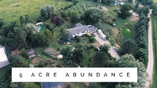 the 5 Acre Permaculture Homestead  Unbelievable Abundance [upl. by Novrej]