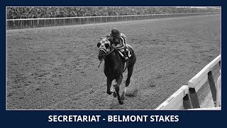 Secretariat  Belmont Stakes 1973 [upl. by Derfiniw]