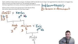 ABITRAINING  Stammbaumanalyse 2 Erkennst du die Augenfarbe von Pluto [upl. by Tandie]