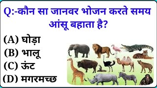 GK Question  GK In Hindi  GK Question and Answer  GK Quiz  Genaral knowledge  YT SIRAAAJ [upl. by Norehc]