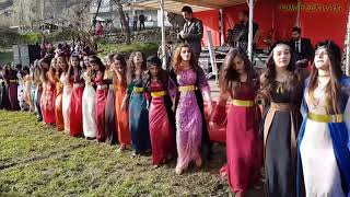 Kurdish Dance  Baile kurdo [upl. by Rubliw]