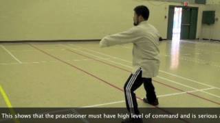 Chen Zhonghua Chen Style Taijiquan Practical Method Yilu October 25 2009 [upl. by Esinrahs423]