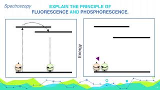 Explain the principle of Fluorescence and Phosphorescence  Analytical Chemistry [upl. by Yessac79]