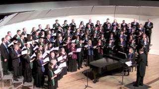 Cliffs of Doneen arr Mark Sirett  Northern Lights Chorale [upl. by Shear824]