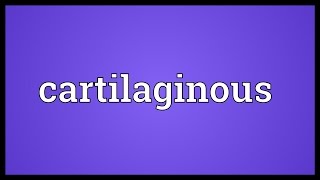 Cartilaginous Meaning [upl. by Stetson]