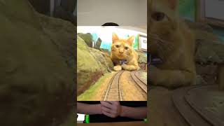 Les vidéos des chats avec des mini trains stop trop mignonnes [upl. by Marola]