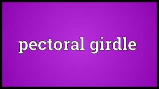 Pectoral girdle Meaning [upl. by Anaib221]