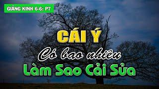 Làm sao cải sửa cái ý Có bao nhiêu cái ý  Giảng Kinh 66 phần 7 [upl. by Nived39]