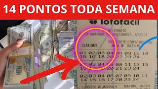 PERFEITO PARA INICINANTES  TODA SEMANA SAI PREMIAÇÃO DOS 14 PONTOS NA LOTOFACIL [upl. by Ahsekyt]