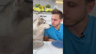 Provo ad INGANNARE il mio CANE🤭🐶😂 cane cani dog dogs dogchallenge [upl. by Heurlin]