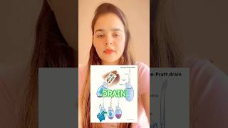 Drain medicolearners medicose medicosociety learnershub learning learn yt ytshorts ytviral [upl. by Parry]