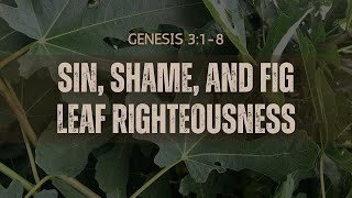 Sin Shame And Fig Leaf Righteousness  Genesis 318  by Robin Brown [upl. by Olegnalehcim]