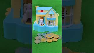 Dog poppy condition House amp the kitchen box piggy bank funny shorts viralvideo ytshorts [upl. by Arihs]