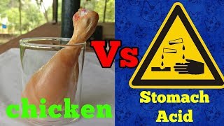 Hydrochloric acid Vs Chicken legAcidified series 1Hallucinate me [upl. by Nekial20]