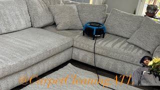 Sectional amp Love Seat Cleaning ASMR AMAZING RESULTS CarpetCleaningATL [upl. by Diandra586]