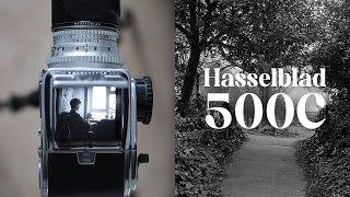 Hasselblad 500C medium format perfection [upl. by Naerol]