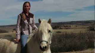 Introduction to Horseback Riding [upl. by Eng]