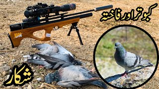 Pigeon Hunting with Airgun  Episode 3  Artemis P15 [upl. by Enneira]