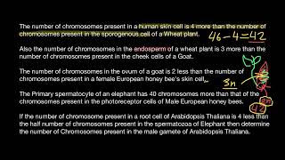 Genetics problem ChatGPT failed to solve [upl. by Ahsla]