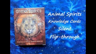 Animal Spirits Knowledge Cards  Silent Flipthrough [upl. by Ayak165]