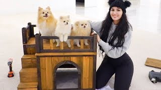 BUILDING MY DOGS A HOUSE [upl. by Peony]