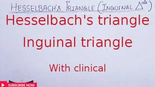 Hesselbachs triangle or inguinal triangle with clinical [upl. by Roseanne]