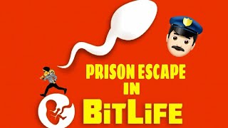 HOW TO ESCAPE EVERY PRISON IN BITLIFE EASIEST WAYS TO ESCAPE EVERY PRISON [upl. by Adlesirc455]