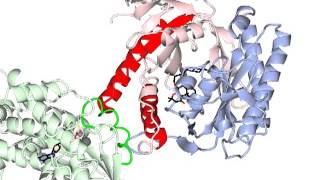 Adenylate cyclase activation with sound [upl. by Nonnek575]