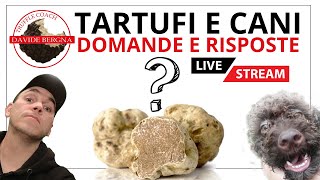 TARTUFI E CANI DA TARTUFO  Domande e Risposte [upl. by Akehsyt]