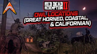 RDR2 Owl Locations Great Horned Coastal amp Californian [upl. by Anifur]