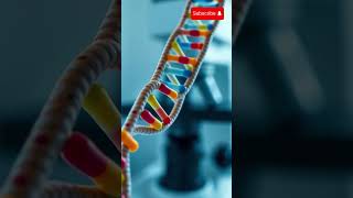 Mystery Of Human DNA  5 Facts About Human DNA [upl. by Nurse]