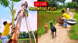 Very Special Treanding Funny Moments LiveVery Amazing funny comedy live video 2024 [upl. by Pfaff]