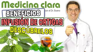 INFUSIÓN Té de ORTIGAS 🌿 FANTÁSTICO REMEDIO NATURAL  Medicina Clara [upl. by Arat157]