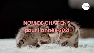 Nom de chat en S pour lannée 2021  trouvez de l’inspiration pour le prénom de votre chat [upl. by Lawrence624]