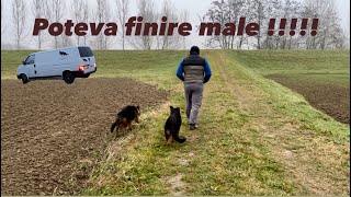 Capodanno🎇prima uscita dei cucciolirimaniamo piantati con il 🚐 germanshepherd pastoretedesco [upl. by Neenwahs738]