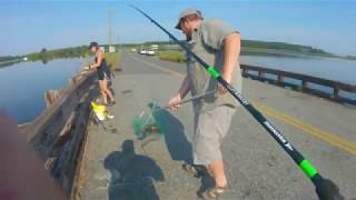 Catching Snakeheads in the Blackwater [upl. by Tound858]