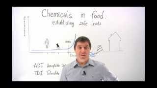 Chemicals in food establishing safe levels [upl. by Aisaim]