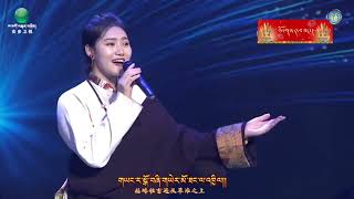 Petso New Tibetan Song 2024 པད་མཚོ། ཚེ་རིང་གཞས་ཆུང་། [upl. by Annyl222]