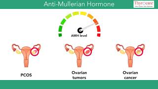 Anti Mullerian Hormone A reproductive link [upl. by Weiser]