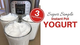 Super Simple Instant Pot Yogurt  3 Ingredients [upl. by Ahsinwad]