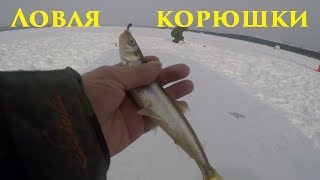 Зимняя рыбалка  Ловля корюшки  Winter fishing  smelt Fishing [upl. by Bronnie]