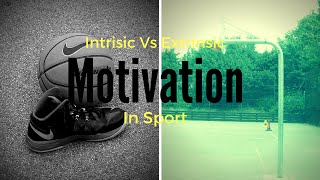 Intrinsic amp Extrinsic Motivation Which Is Better [upl. by Annuahs35]