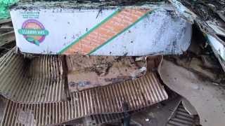 Wine Cap  Stropharia Mushroom propagation using cardboard and compost [upl. by Eyeleen932]