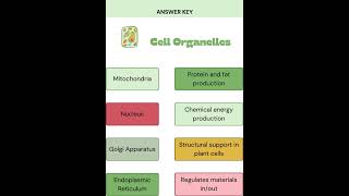 Cellorganelle trending shortsfeed shortvideos [upl. by Ahto434]